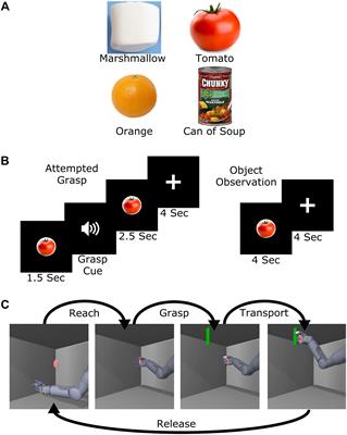 Implicit Grasp Force Representation in Human Motor Cortical Recordings